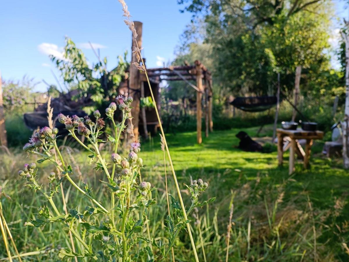 Au Pied Du Trieu, The Shelter Hotell Labroye Eksteriør bilde